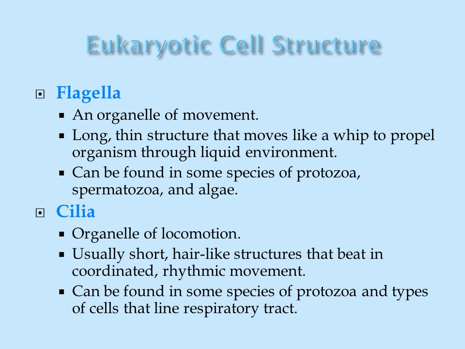 And A Little Taxonomy Too The Science Of Classification Of