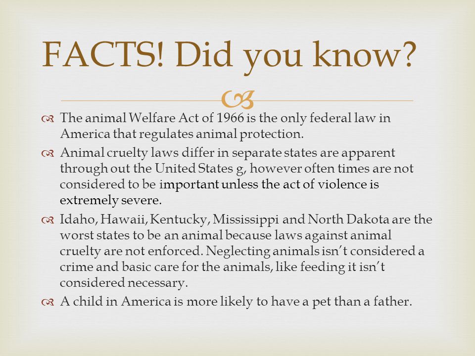   The animal Welfare Act of 1966 is the only federal law in America that regulates animal protection.