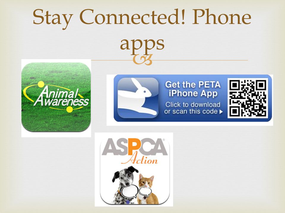  Stay Connected! Phone apps