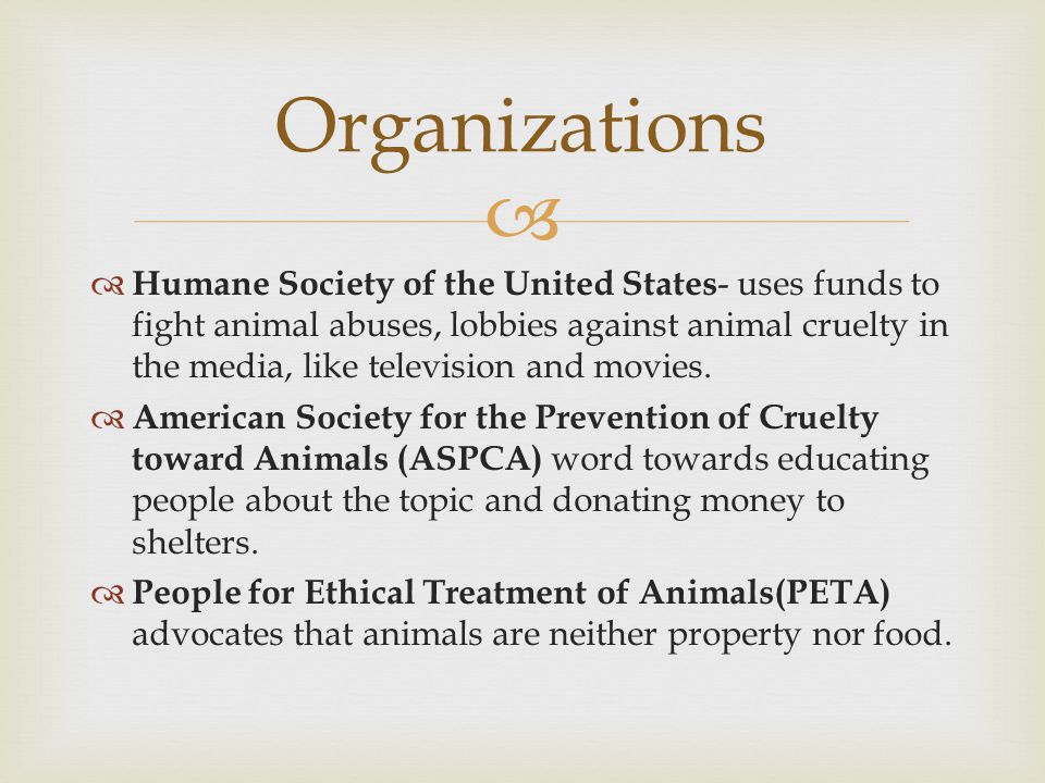   Humane Society of the United States - uses funds to fight animal abuses, lobbies against animal cruelty in the media, like television and movies.