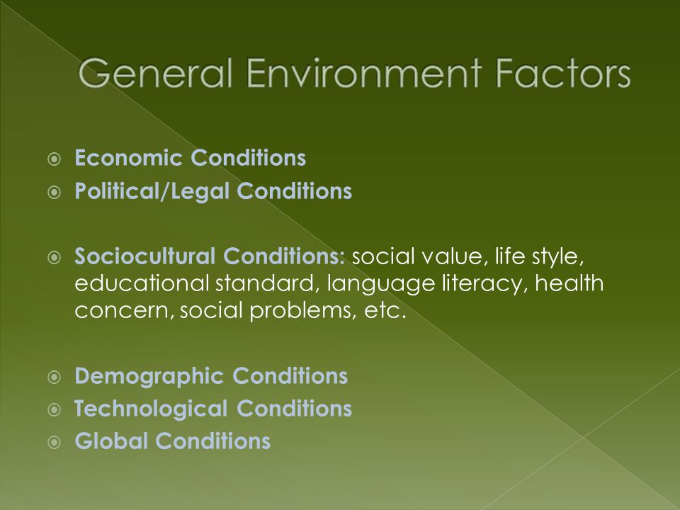  Economic Conditions  Political/Legal Conditions  Sociocultural Conditions: social value, life style, educational standard, language literacy, health concern, social problems, etc.
