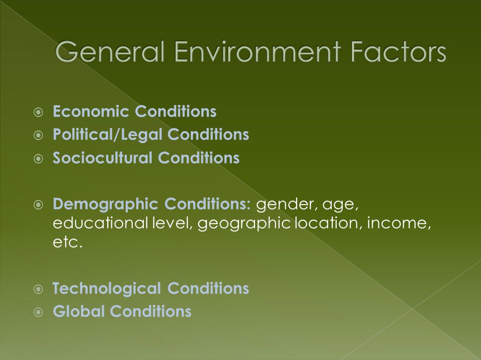  Economic Conditions  Political/Legal Conditions  Sociocultural Conditions  Demographic Conditions: gender, age, educational level, geographic location, income, etc.