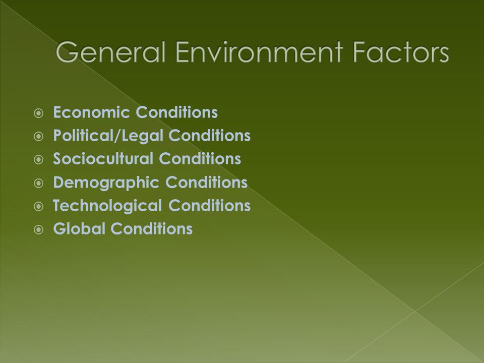 Economic Conditions  Political/Legal Conditions  Sociocultural Conditions  Demographic Conditions  Technological Conditions  Global Conditions