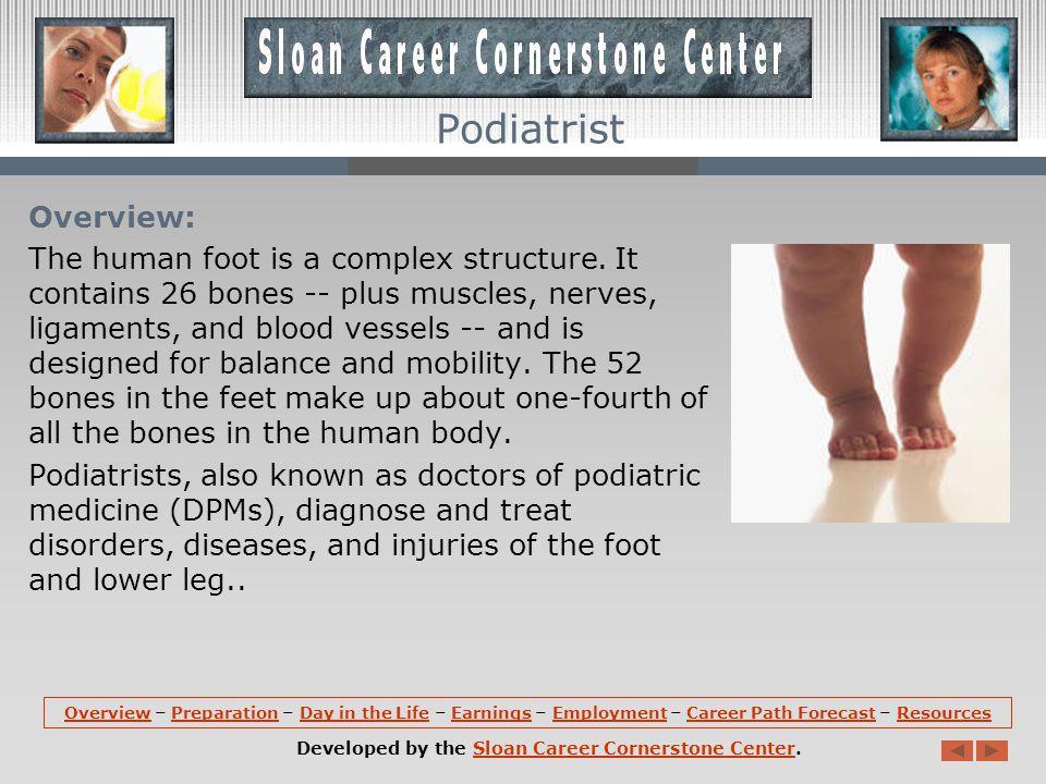 OverviewOverview – Preparation – Day in the Life – Earnings – Employment – Career Path Forecast – ResourcesPreparationDay in the LifeEarningsEmploymentCareer Path ForecastResources Developed by the Sloan Career Cornerstone Center.Sloan Career Cornerstone Center Podiatrist