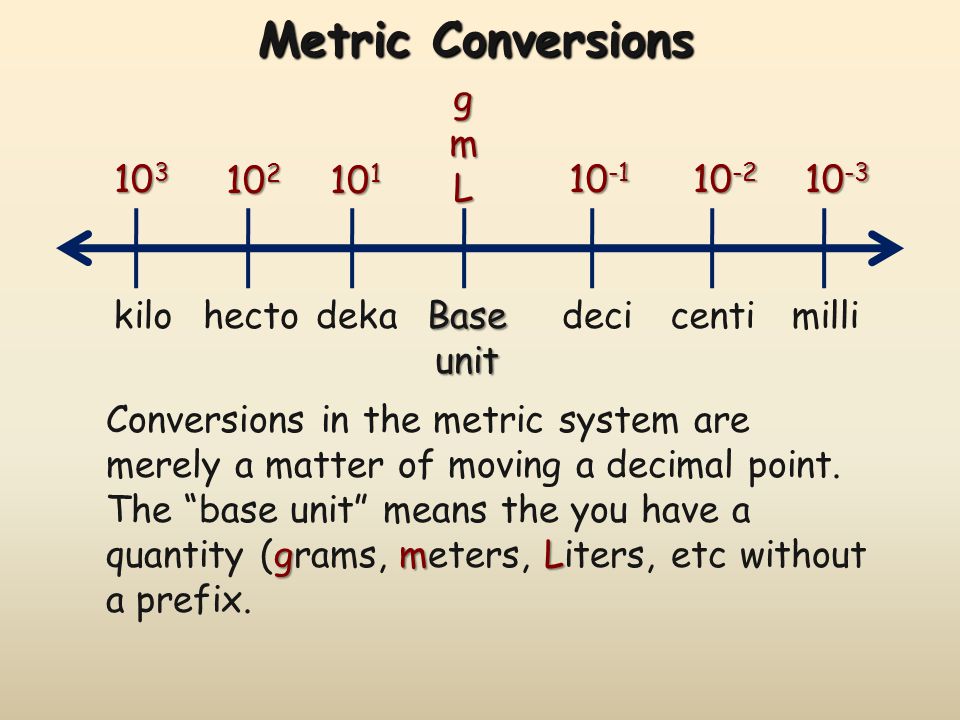Metric System Scale Metric System Scale