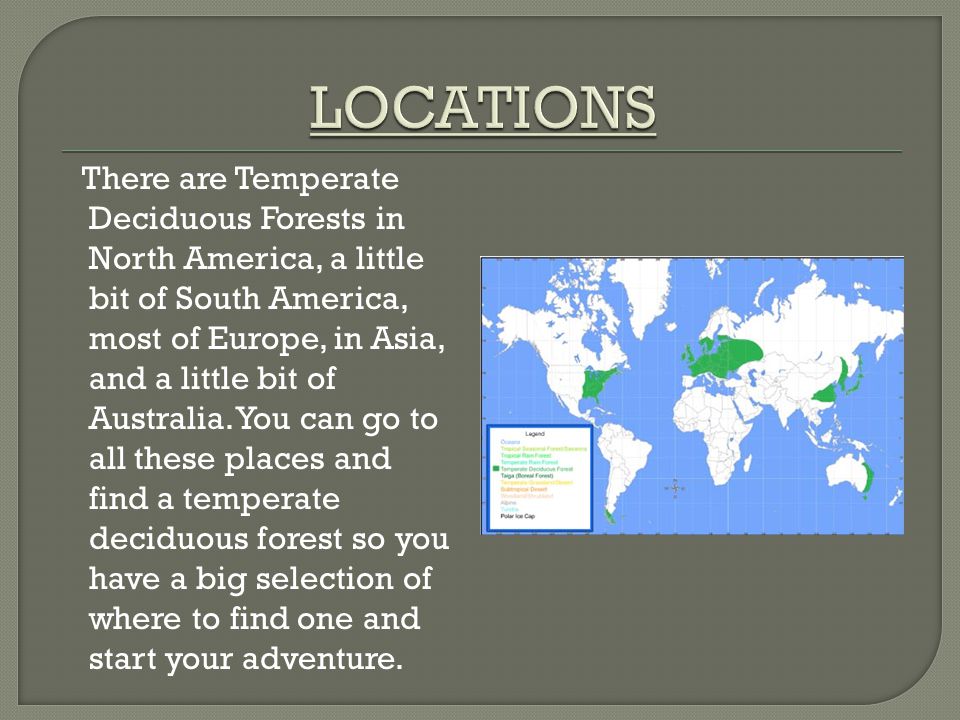 There are Temperate Deciduous Forests in North America, a little bit of South America, most of Europe, in Asia, and a little bit of Australia.