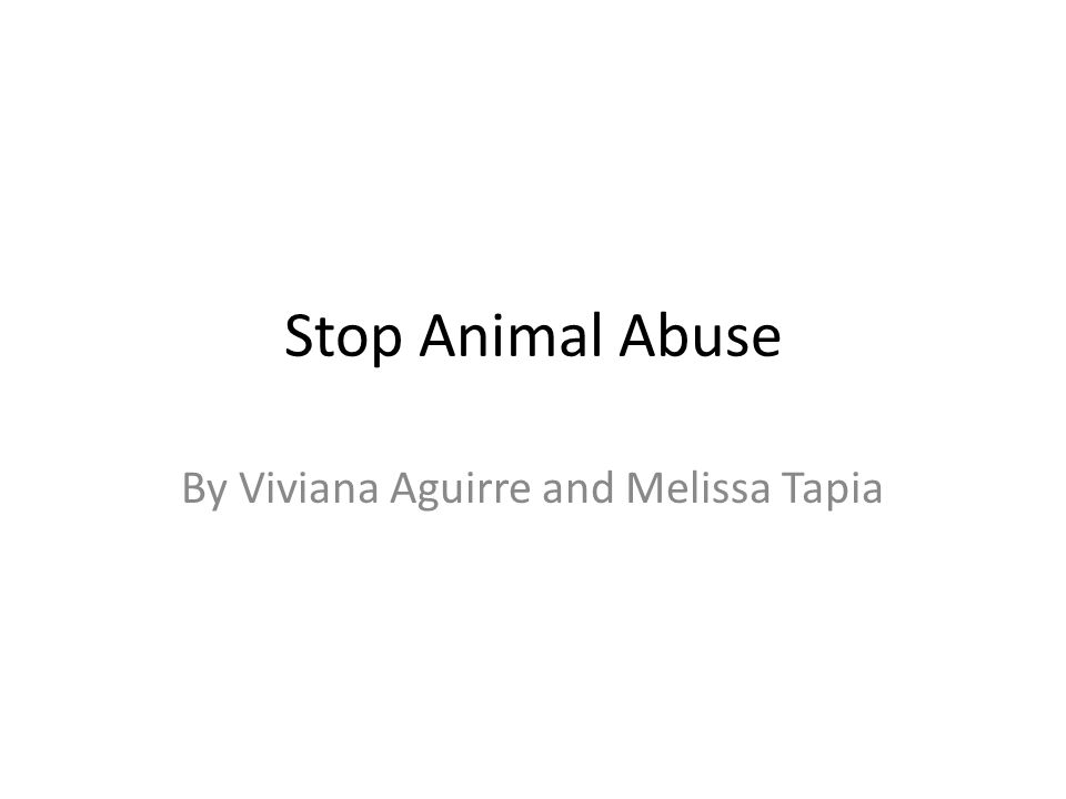 Stop Animal Abuse By Viviana Aguirre and Melissa Tapia