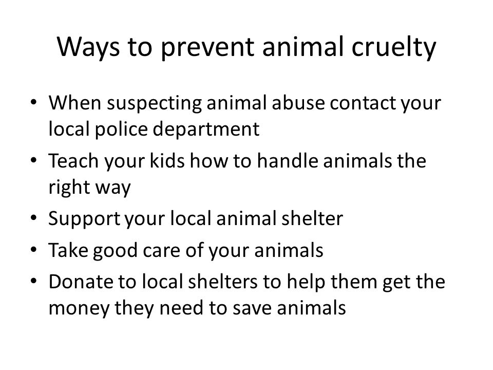 Ways to prevent animal cruelty When suspecting animal abuse contact your local police department Teach your kids how to handle animals the right way Support your local animal shelter Take good care of your animals Donate to local shelters to help them get the money they need to save animals