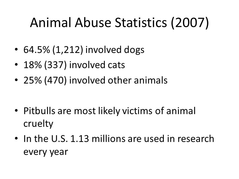 Animal Abuse Statistics (2007) 64.5% (1,212) involved dogs 18% (337) involved cats 25% (470) involved other animals Pitbulls are most likely victims of animal cruelty In the U.S.