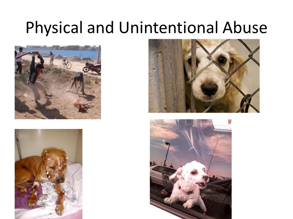Physical and Unintentional Abuse