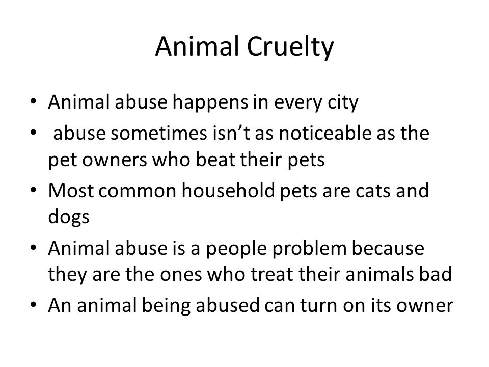 Animal Cruelty Animal abuse happens in every city abuse sometimes isn’t as noticeable as the pet owners who beat their pets Most common household pets are cats and dogs Animal abuse is a people problem because they are the ones who treat their animals bad An animal being abused can turn on its owner