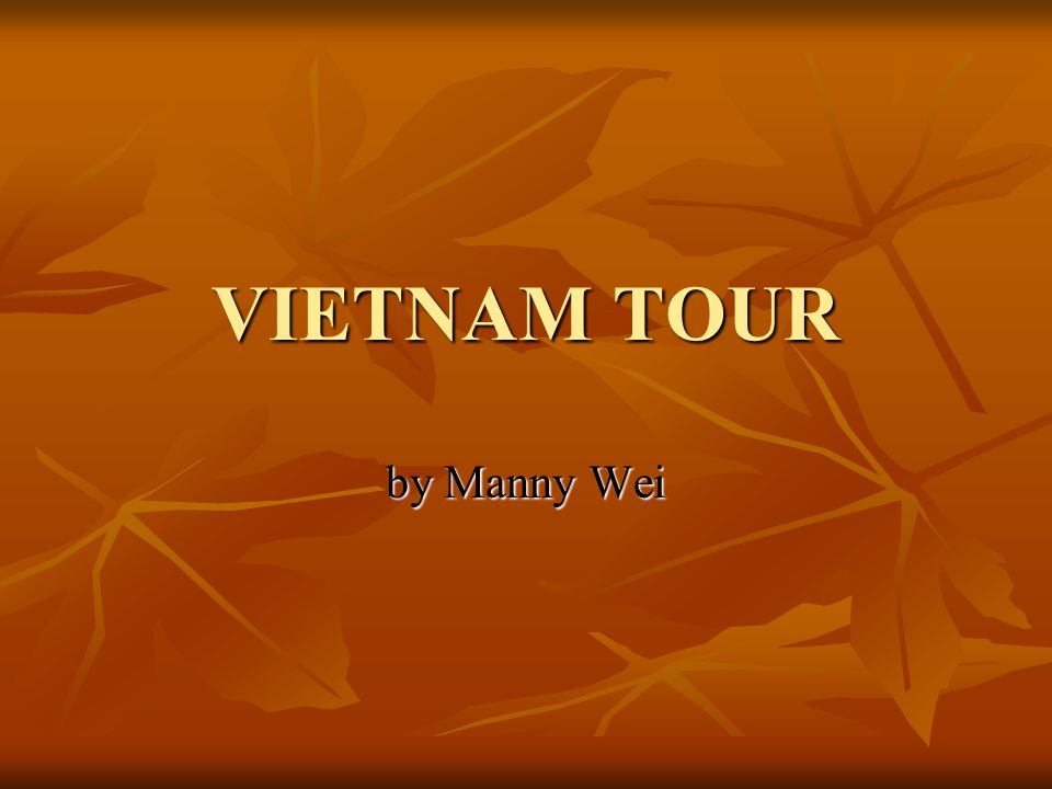 VIETNAM TOUR by Manny Wei