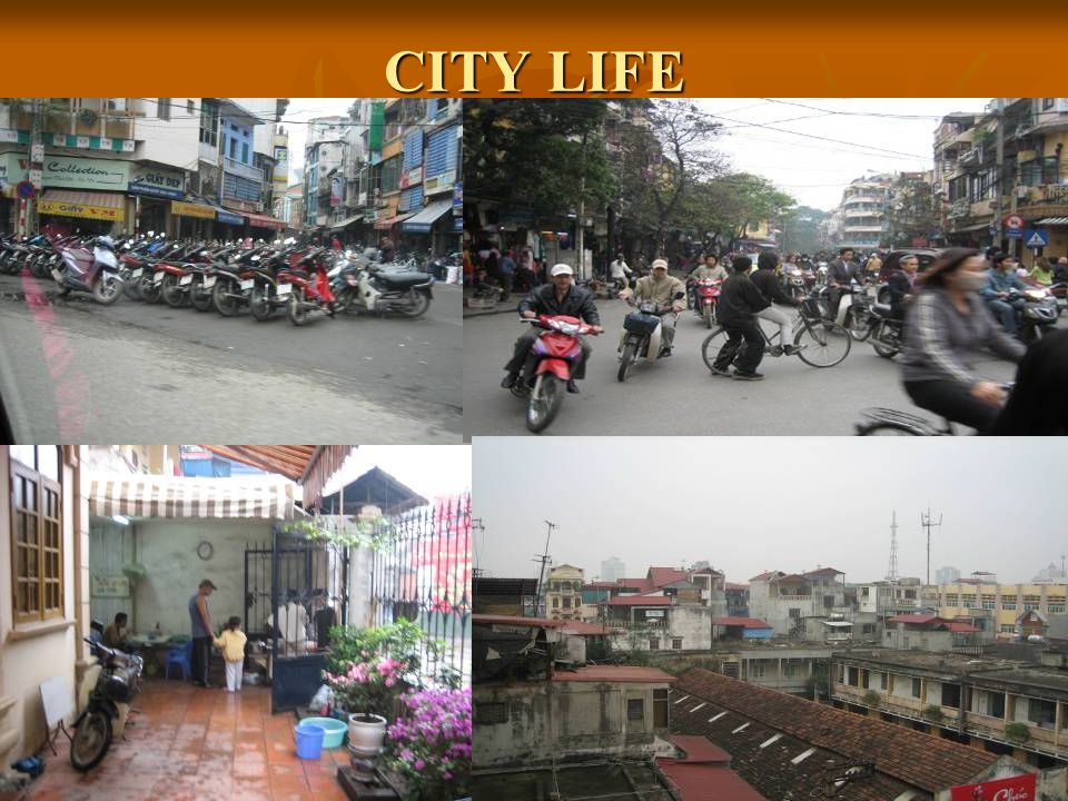 CITY LIFE