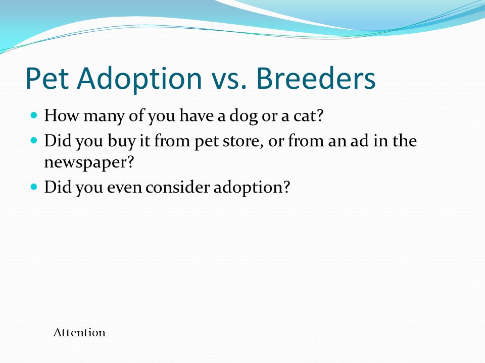 Pet Adoption vs. Breeders How many of you have a dog or a cat.