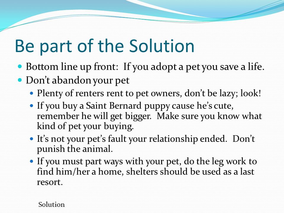 Be part of the Solution Bottom line up front: If you adopt a pet you save a life.