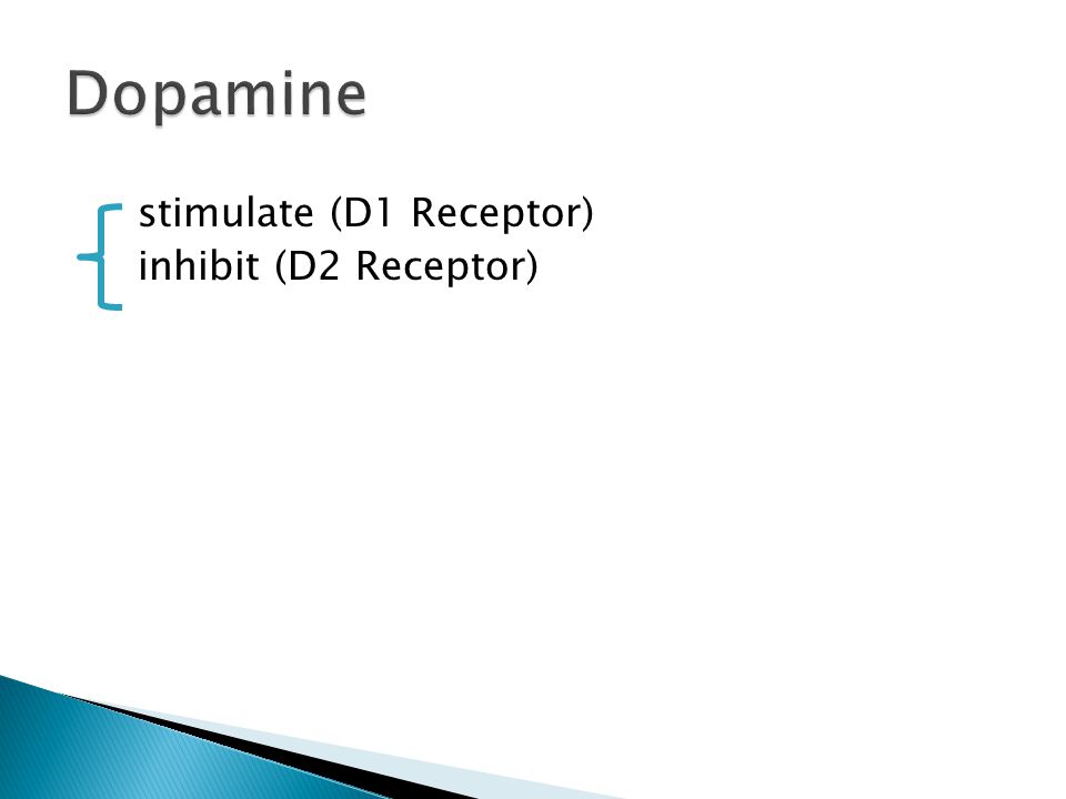 stimulate (D1 Receptor) inhibit (D2 Receptor)