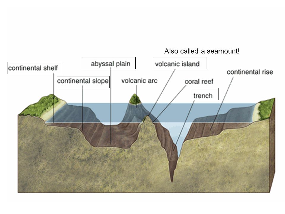 What Are Large Flat Plains Located On The Ocean Floor 1 Trenches