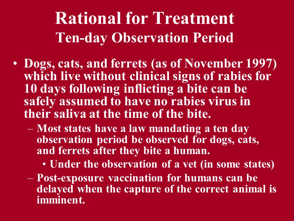 Public Health Aspects of Rabies Control Lecture 8 Dr. Paul