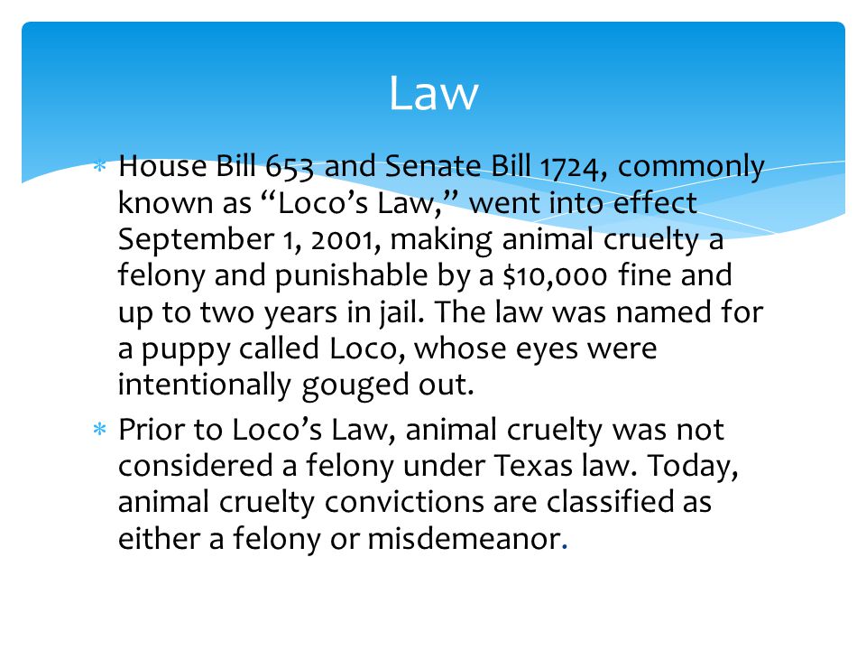  House Bill 653 and Senate Bill 1724, commonly known as Loco’s Law, went into effect September 1, 2001, making animal cruelty a felony and punishable by a $10,000 fine and up to two years in jail.