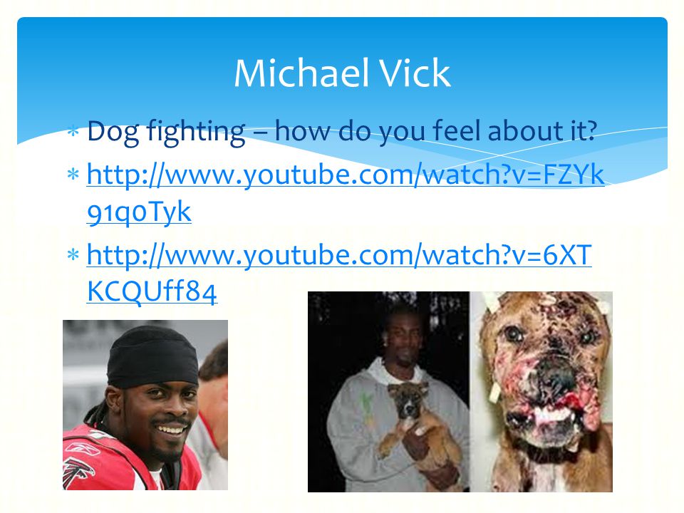 Dog fighting – how do you feel about it.