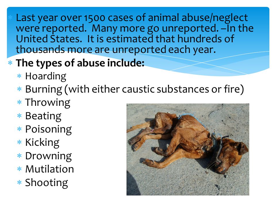  Last year over 1500 cases of animal abuse/neglect were reported.