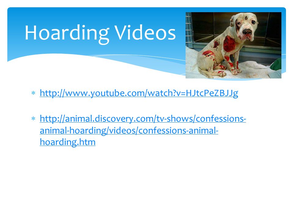    v=HJtcPeZBJJg   v=HJtcPeZBJJg    animal-hoarding/videos/confessions-animal- hoarding.htm   animal-hoarding/videos/confessions-animal- hoarding.htm Hoarding Videos