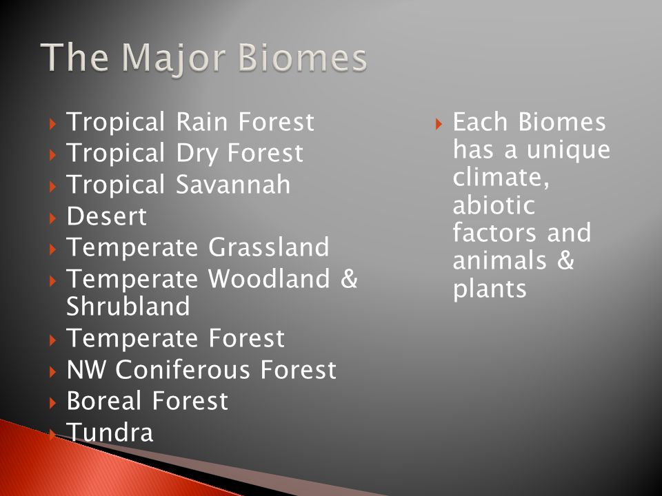  Tropical Rain Forest  Tropical Dry Forest  Tropical Savannah  Desert  Temperate Grassland  Temperate Woodland & Shrubland  Temperate Forest  NW Coniferous Forest  Boreal Forest  Tundra  Each Biomes has a unique climate, abiotic factors and animals & plants