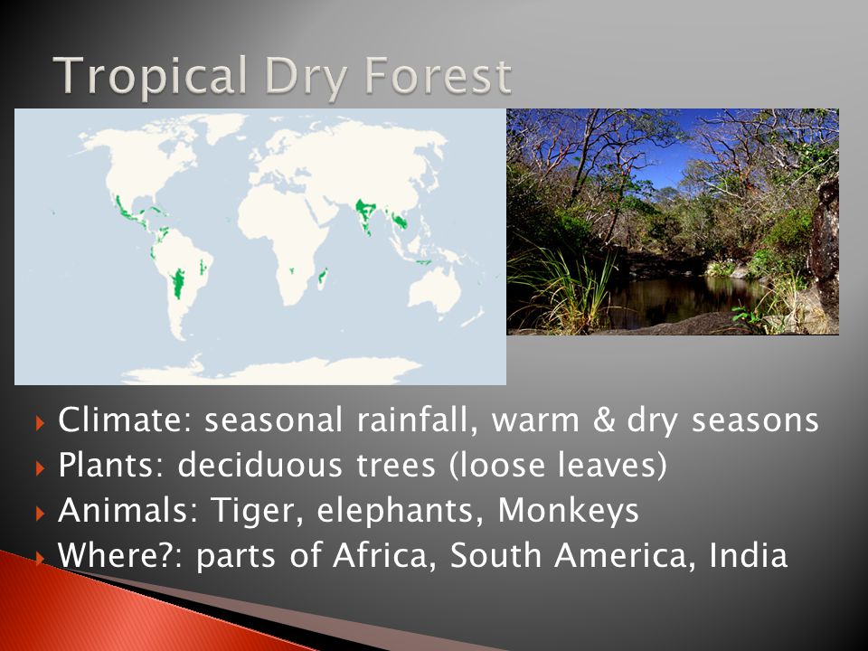  Climate: seasonal rainfall, warm & dry seasons  Plants: deciduous trees (loose leaves)  Animals: Tiger, elephants, Monkeys  Where : parts of Africa, South America, India