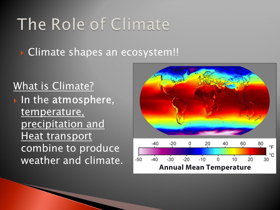  Climate shapes an ecosystem!. What is Climate.