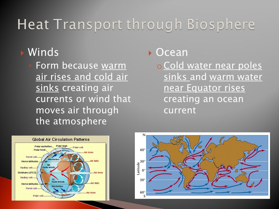 Winds ◦ Form because warm air rises and cold air sinks creating air currents or wind that moves air through the atmosphere  Ocean o Cold water near poles sinks and warm water near Equator rises creating an ocean current