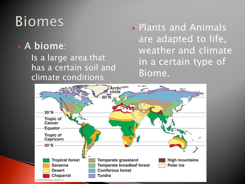  A biome: ◦ Is a large area that has a certain soil and climate conditions  Plants and Animals are adapted to life, weather and climate in a certain type of Biome.
