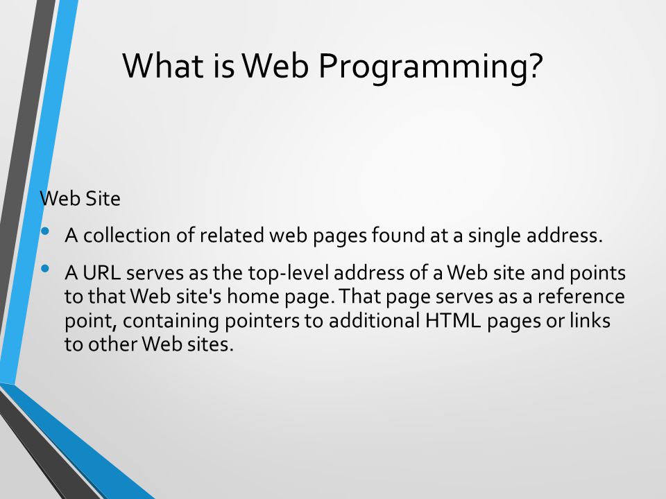 What is Web Programming. Web Site A collection of related web pages found at a single address.