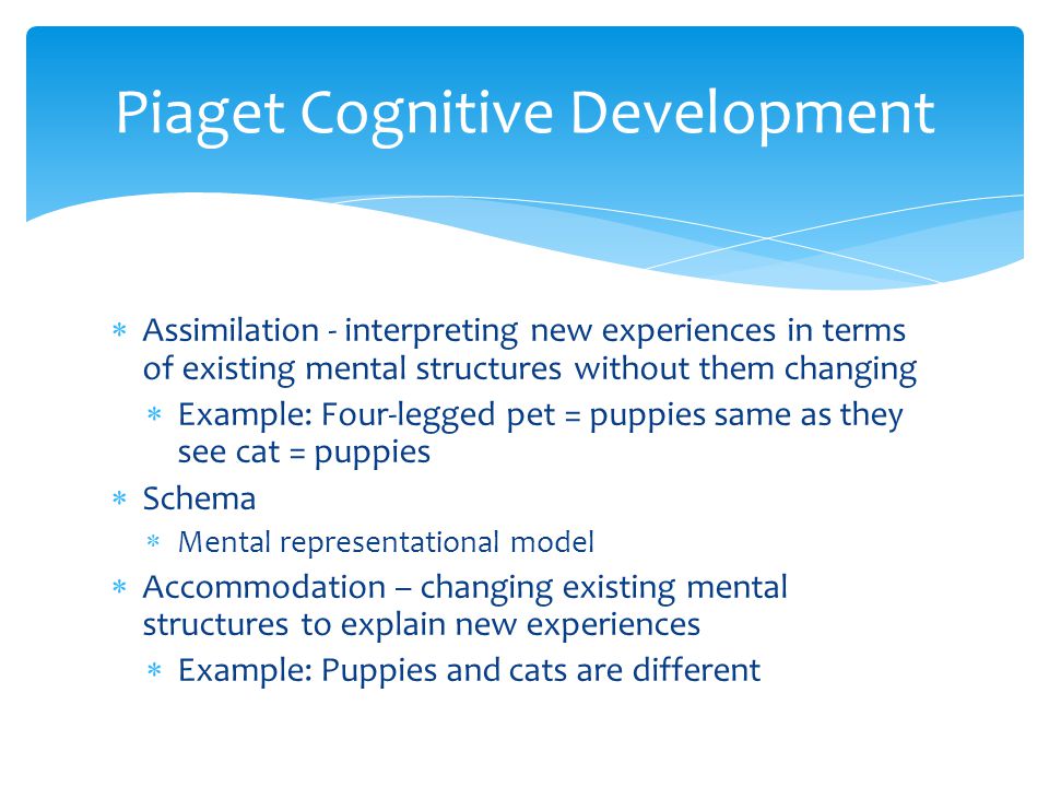 Chapters 7 11 Memory Development. Encoding forming memory