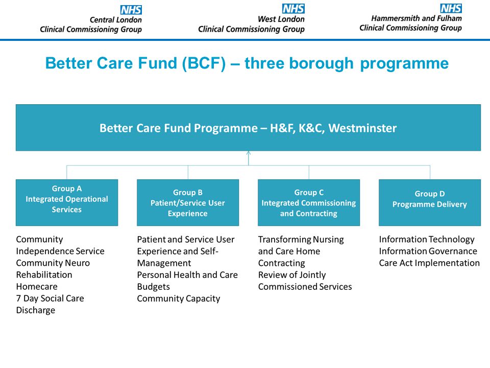 Better Care Fund (BCF) – three borough programme