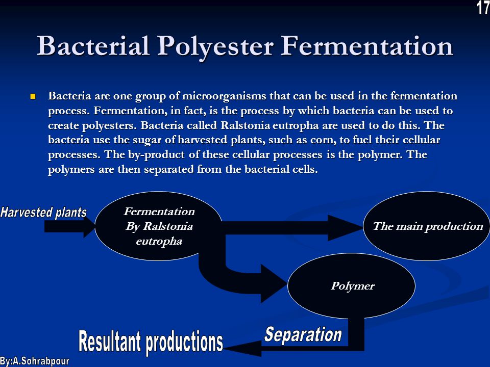 Bacterial Polyester Fermentation Bacteria are one group of microorganisms that can be used in the fermentation process.