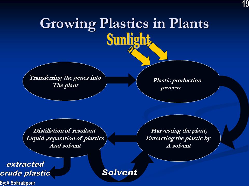 Growing Plastics in Plants Transferring the genes into The plant Plastic production process Harvesting the plant, Extracting the plastic by A solvent Distillation of resultant Liquid,separation of plastics And solvent
