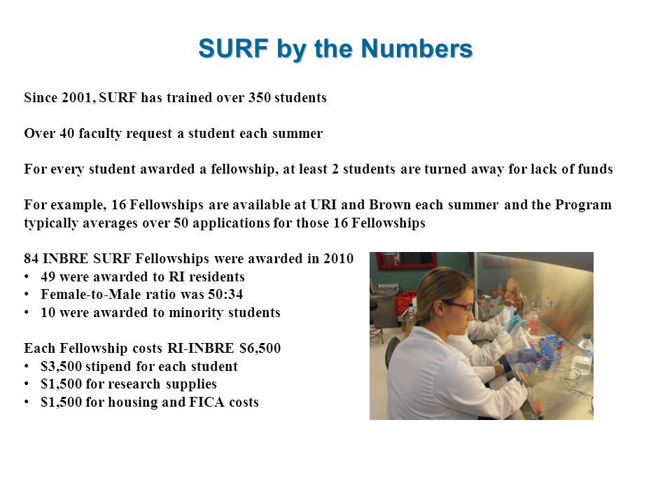Since 2001, SURF has trained over 350 students Over 40 faculty request a student each summer For every student awarded a fellowship, at least 2 students are turned away for lack of funds For example, 16 Fellowships are available at URI and Brown each summer and the Program typically averages over 50 applications for those 16 Fellowships 84 INBRE SURF Fellowships were awarded in were awarded to RI residents Female-to-Male ratio was 50:34 10 were awarded to minority students Each Fellowship costs RI-INBRE $6,500 $3,500 stipend for each student $1,500 for research supplies $1,500 for housing and FICA costs SURF by the Numbers