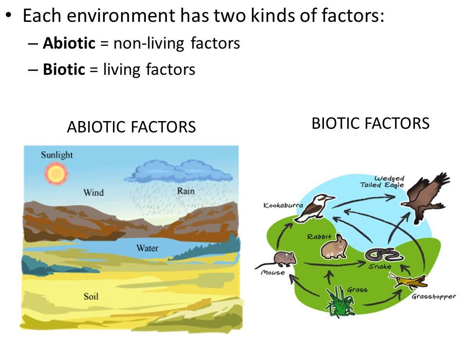 Each environment has two kinds of factors: – Abiotic = non-living factors – Biotic = living factors ABIOTIC FACTORS BIOTIC FACTORS