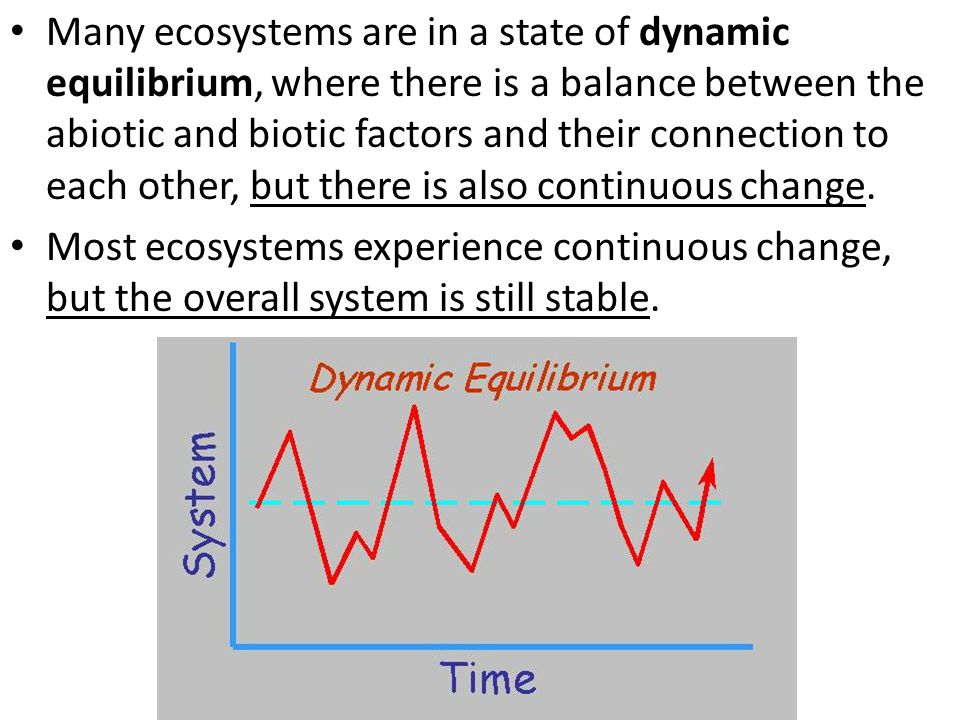 Many ecosystems are in a state of dynamic equilibrium, where there is a balance between the abiotic and biotic factors and their connection to each other, but there is also continuous change.