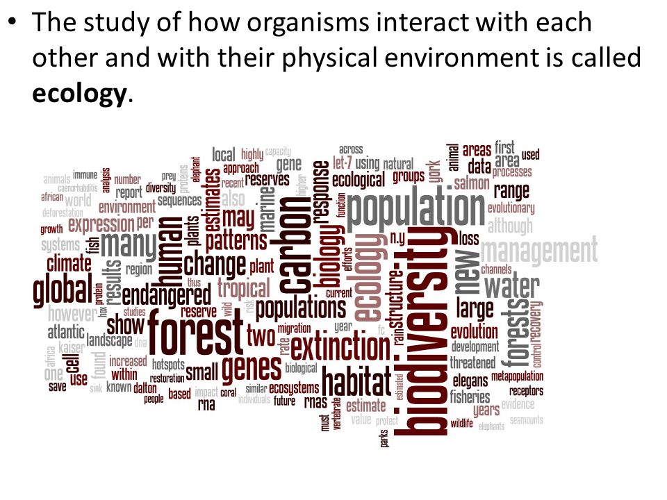 The study of how organisms interact with each other and with their physical environment is called ecology.
