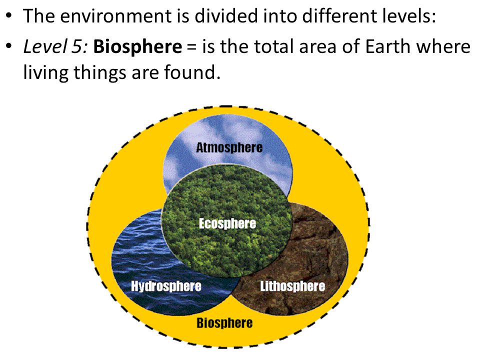 The environment is divided into different levels: Level 5: Biosphere = is the total area of Earth where living things are found.