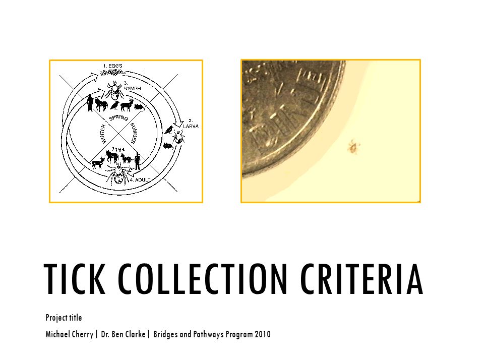 TICK COLLECTION CRITERIA Project title Michael Cherry| Dr.