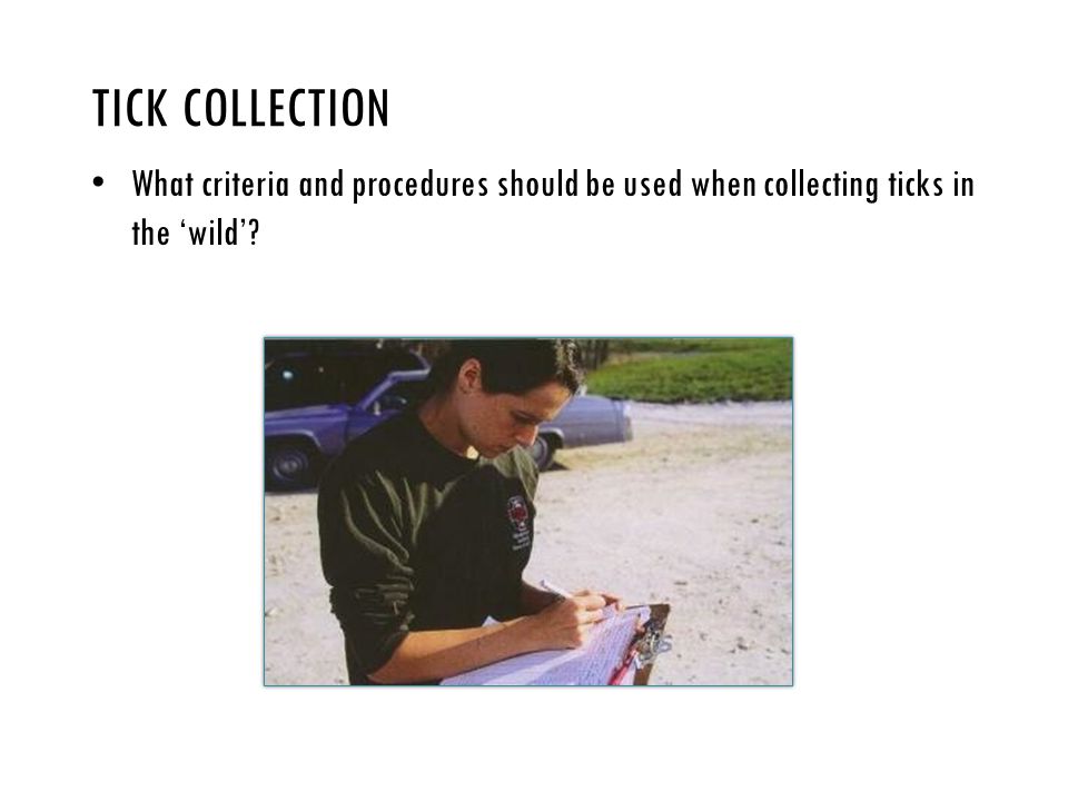 TICK COLLECTION What criteria and procedures should be used when collecting ticks in the ‘wild’