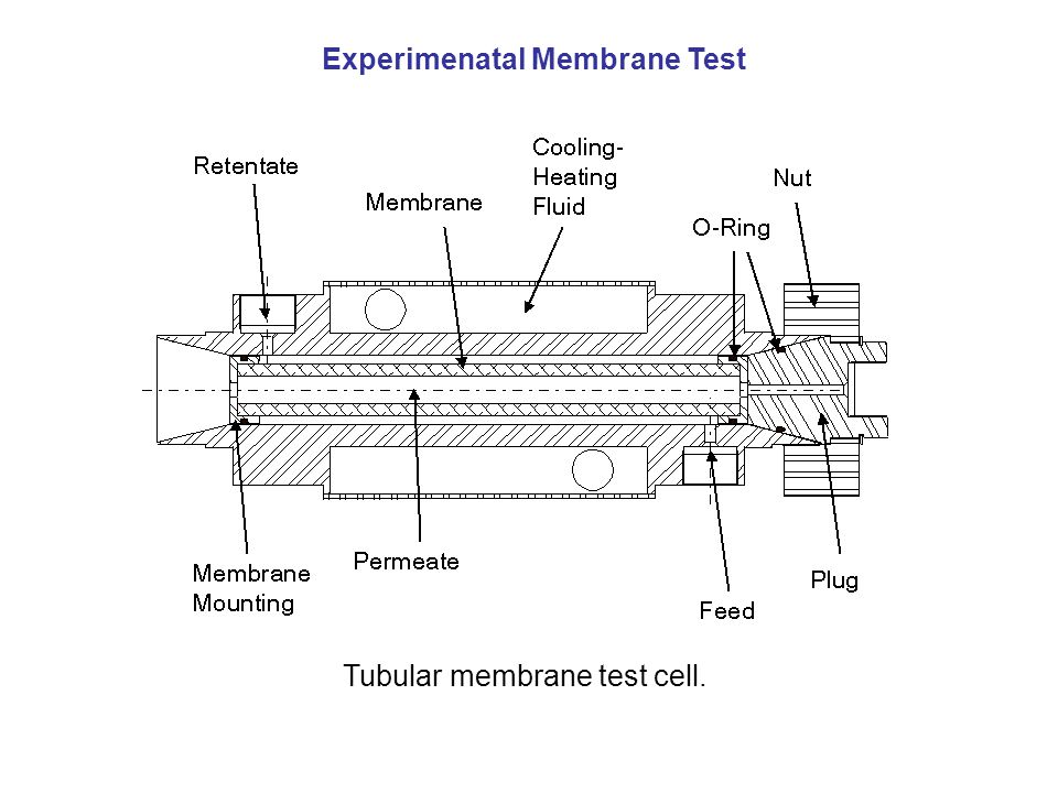 Tubular membrane test cell. Experimenatal Membrane Test