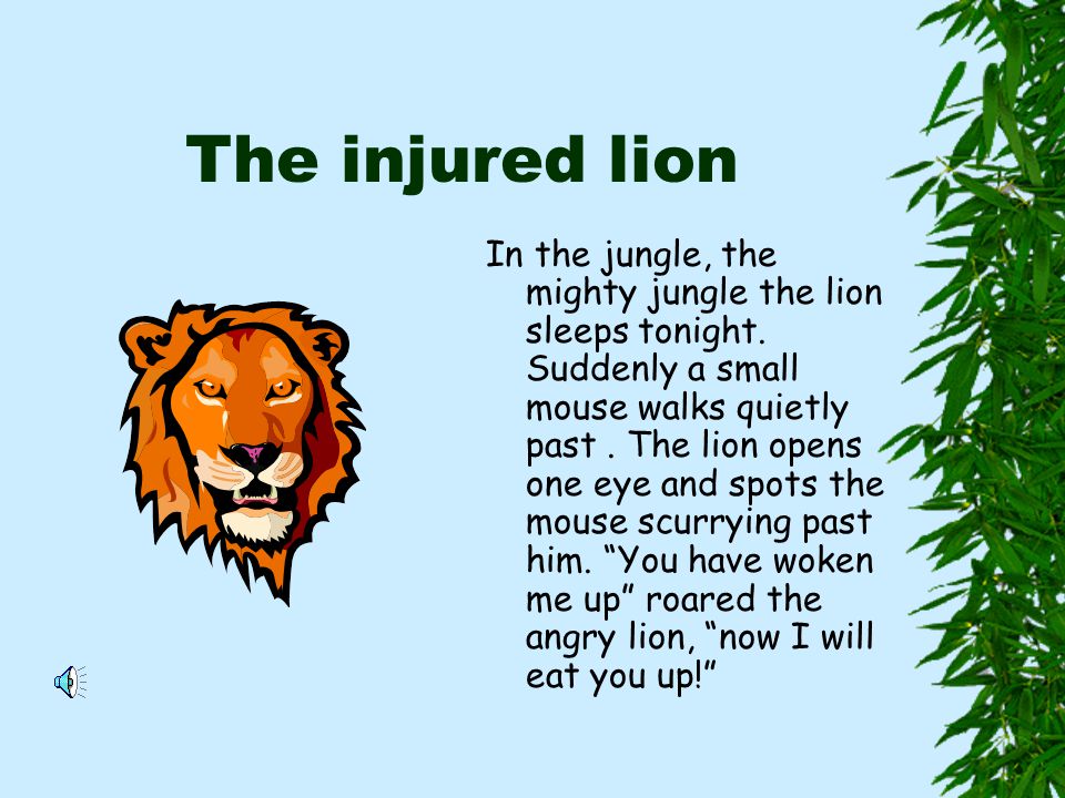 The Injured Lion In The Jungle The Mighty Jungle The Lion Sleeps