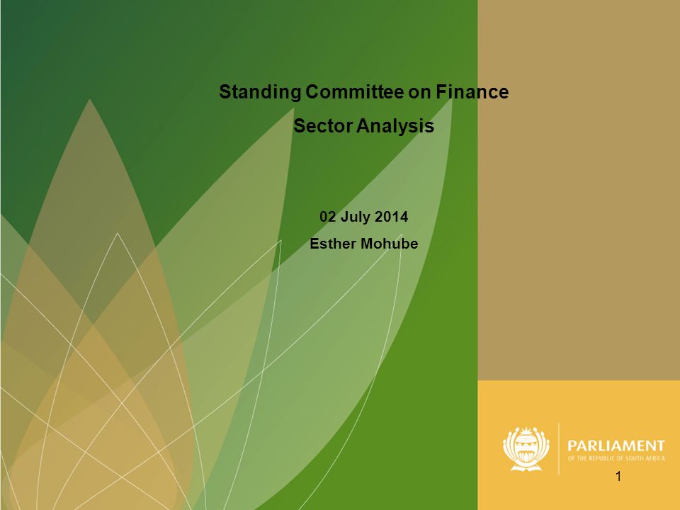 Standing Committee on Finance Sector Analysis 02 July 2014 Esther Mohube 1