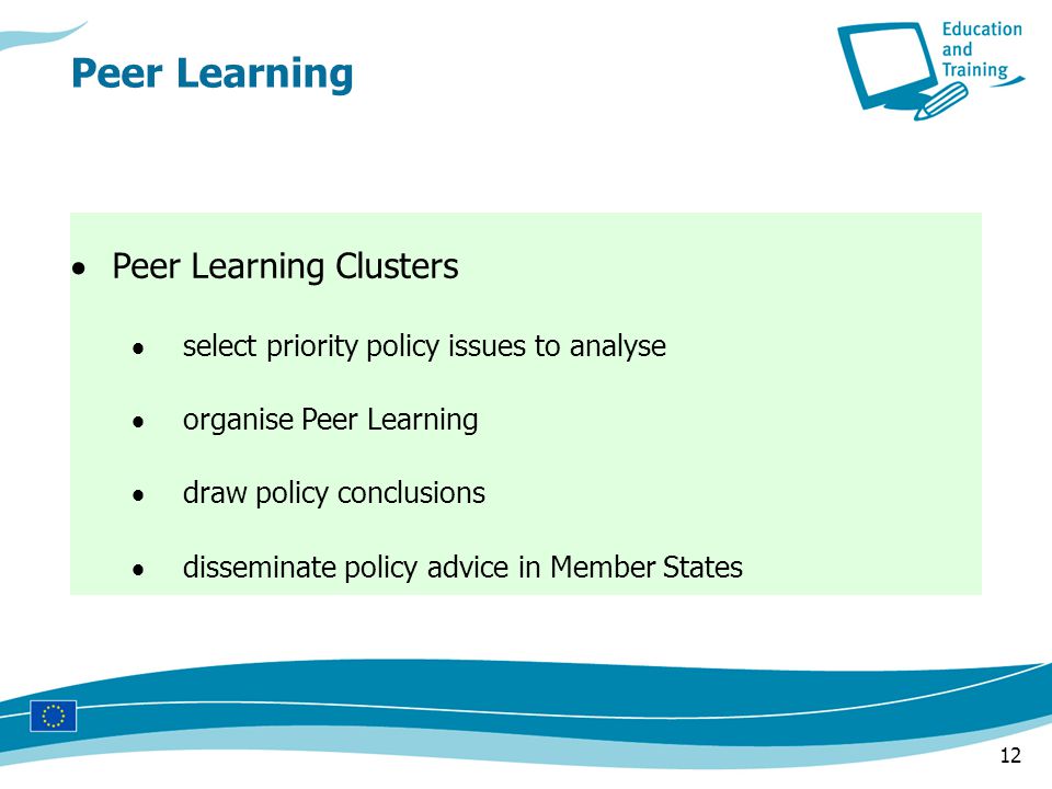 12 Peer Learning  Peer Learning Clusters  select priority policy issues to analyse  organise Peer Learning  draw policy conclusions  disseminate policy advice in Member States