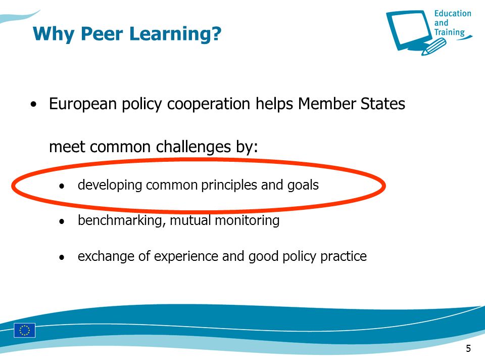 5 Why Peer Learning.