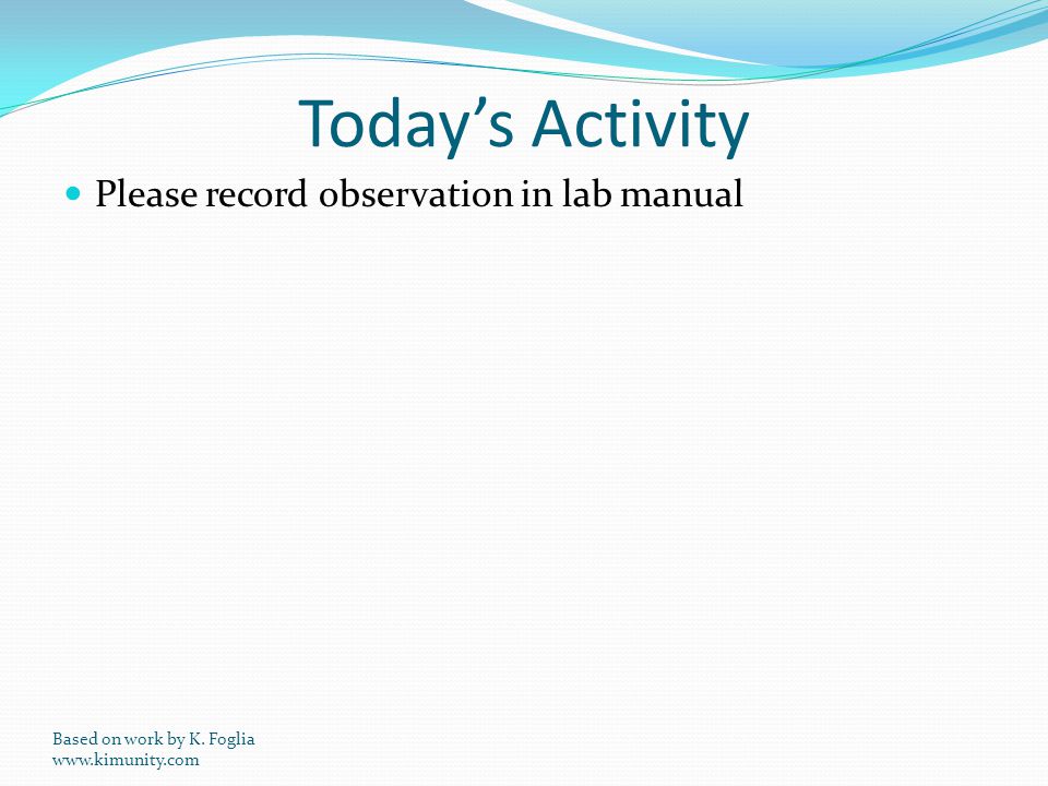 Today’s Activity Please record observation in lab manual Based on work by K.
