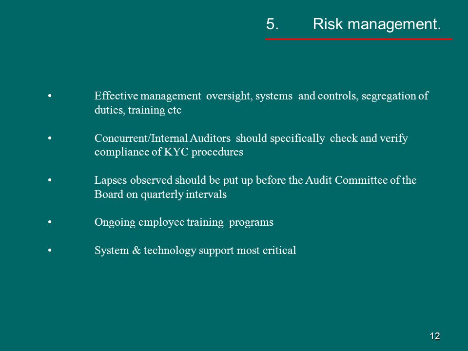 12 5. Risk management.